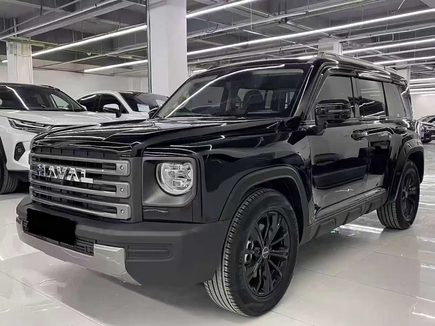 Haval Meng Long NEV 2024 — пригон из Китая