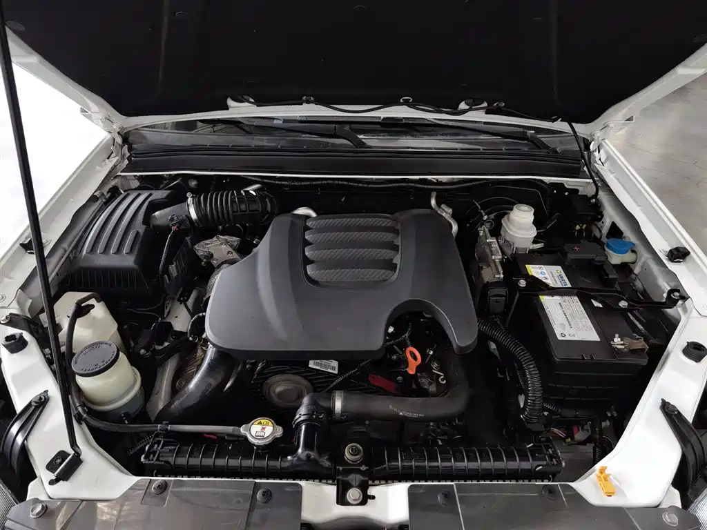 GREAT WALL FENGJUN 5