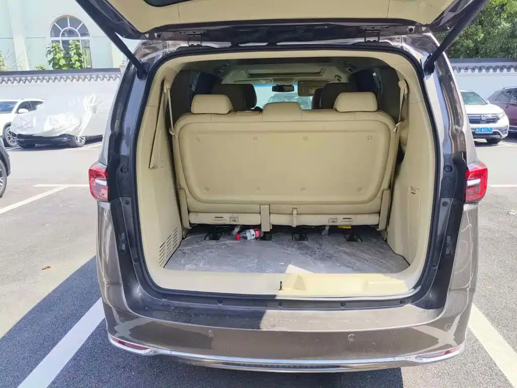 Фото 5 - Buick GL8