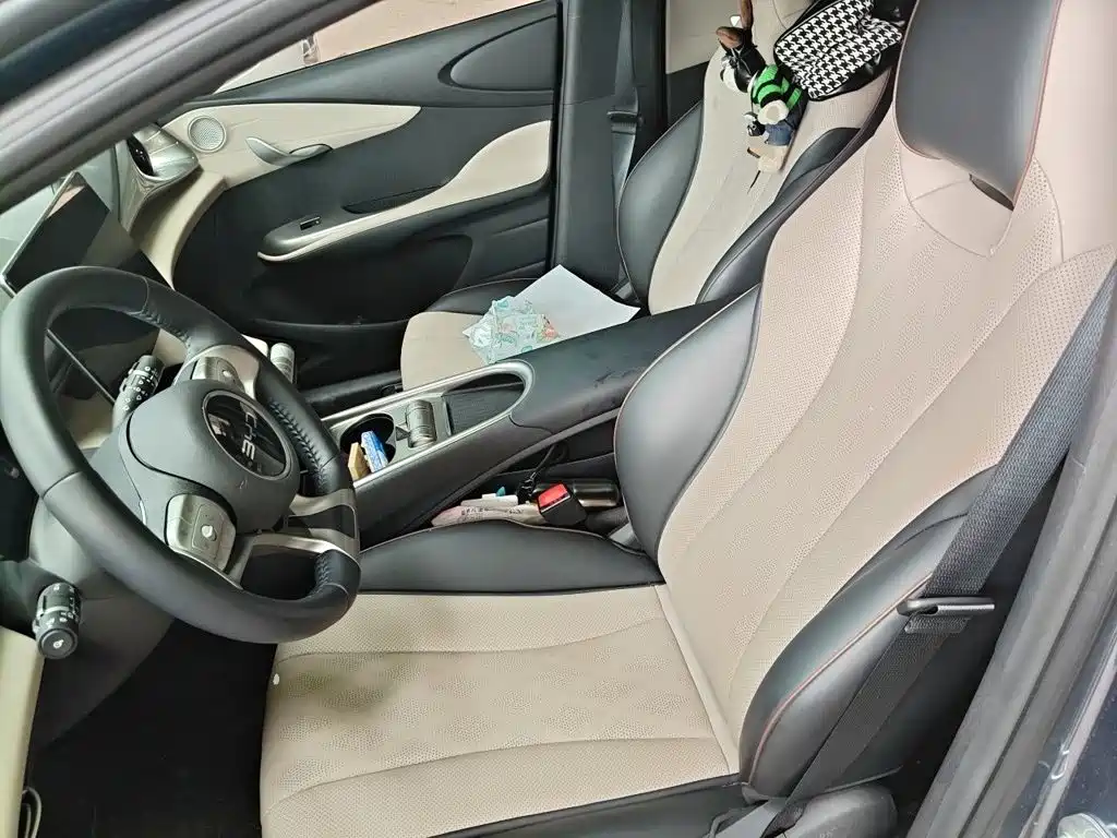 BYD Dolphin 2026 2025 420km Freedom Edition