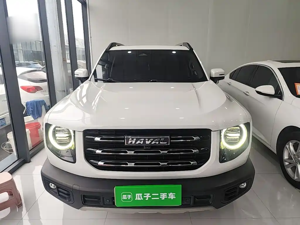 Фото 3 - Haval Dargo