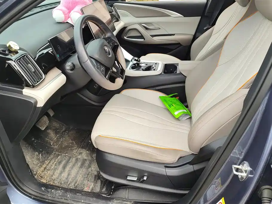 BYD Song Pro New Energy 2024 Glory Edition DM-i 110KM Excellence фото 9