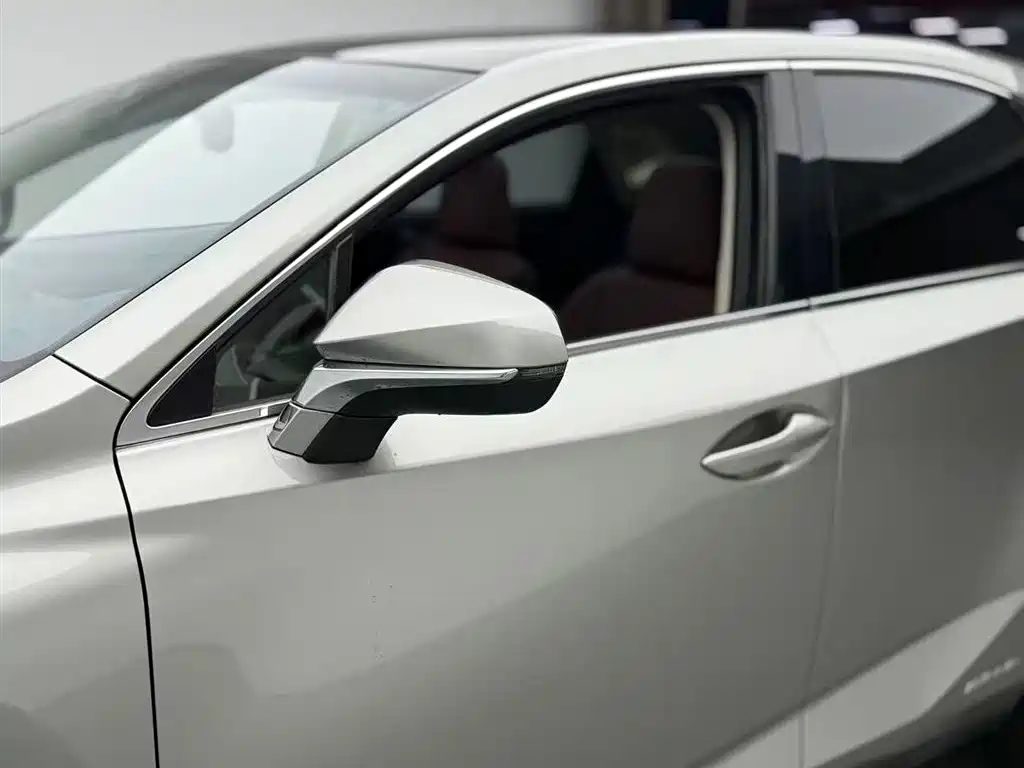 Lexus NX 2015 300h AWD F SPORT фото 11