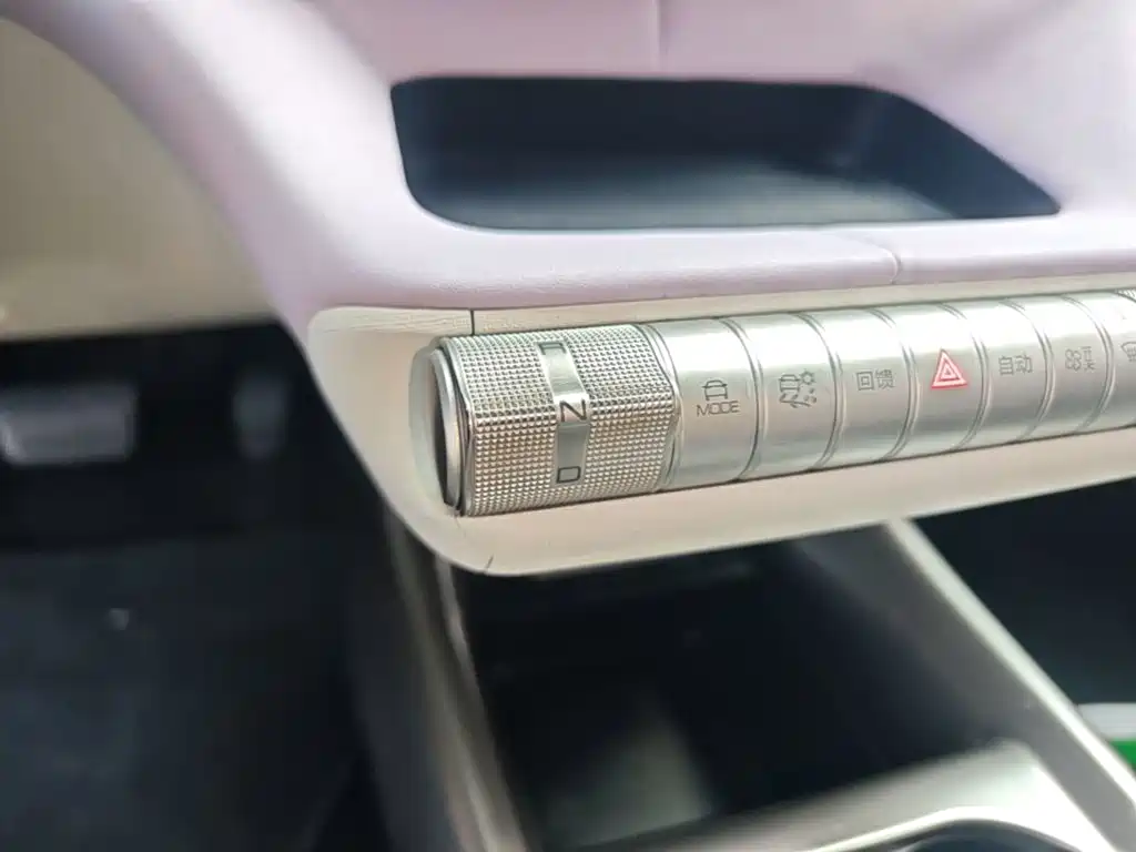 BYD Dolphin 2022 2021 Model 405km Fashion Edition