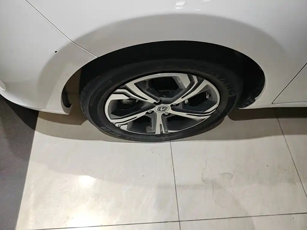 Changan Benben E-Star 2022 2020 Heartbeat Edition (NMC Battery)