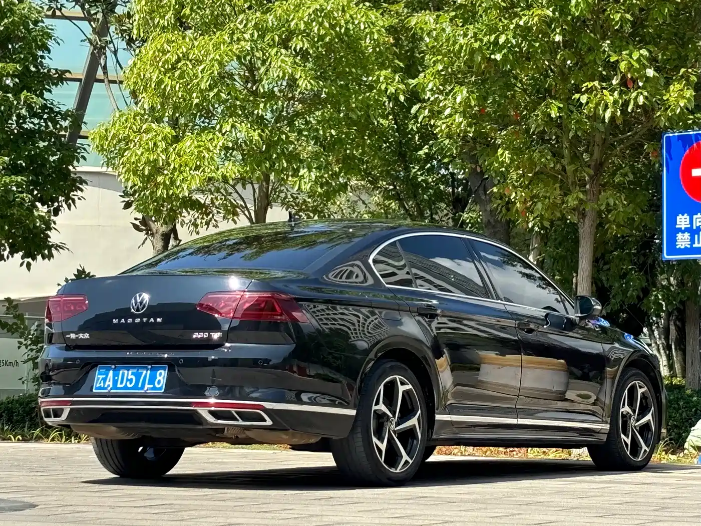 Volkswagen Magotan, миниатюра 9