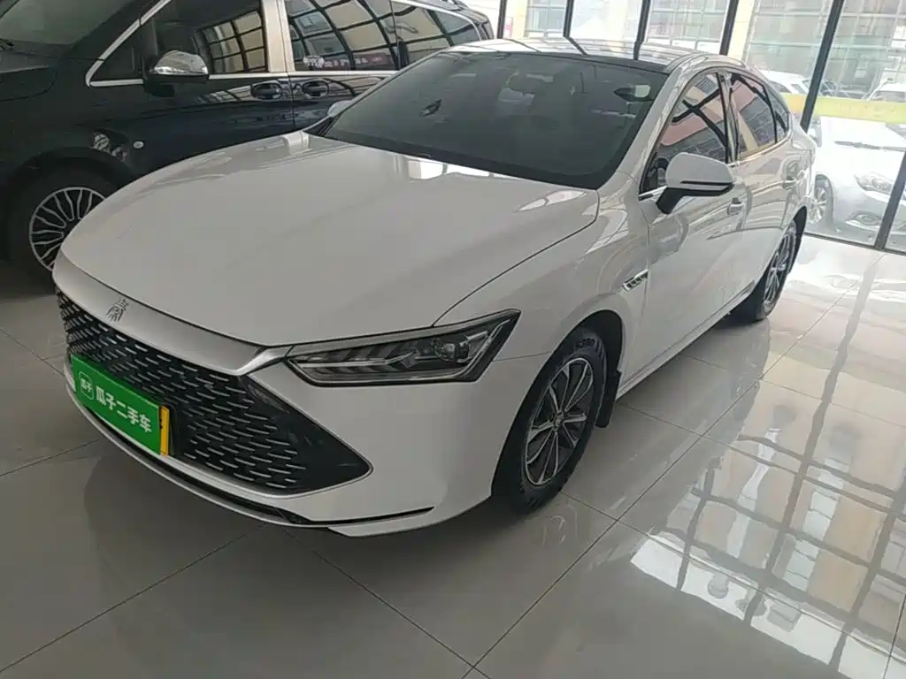 BYD Qin PLUS 2024 Glory Edition DM-i 55KM Leading