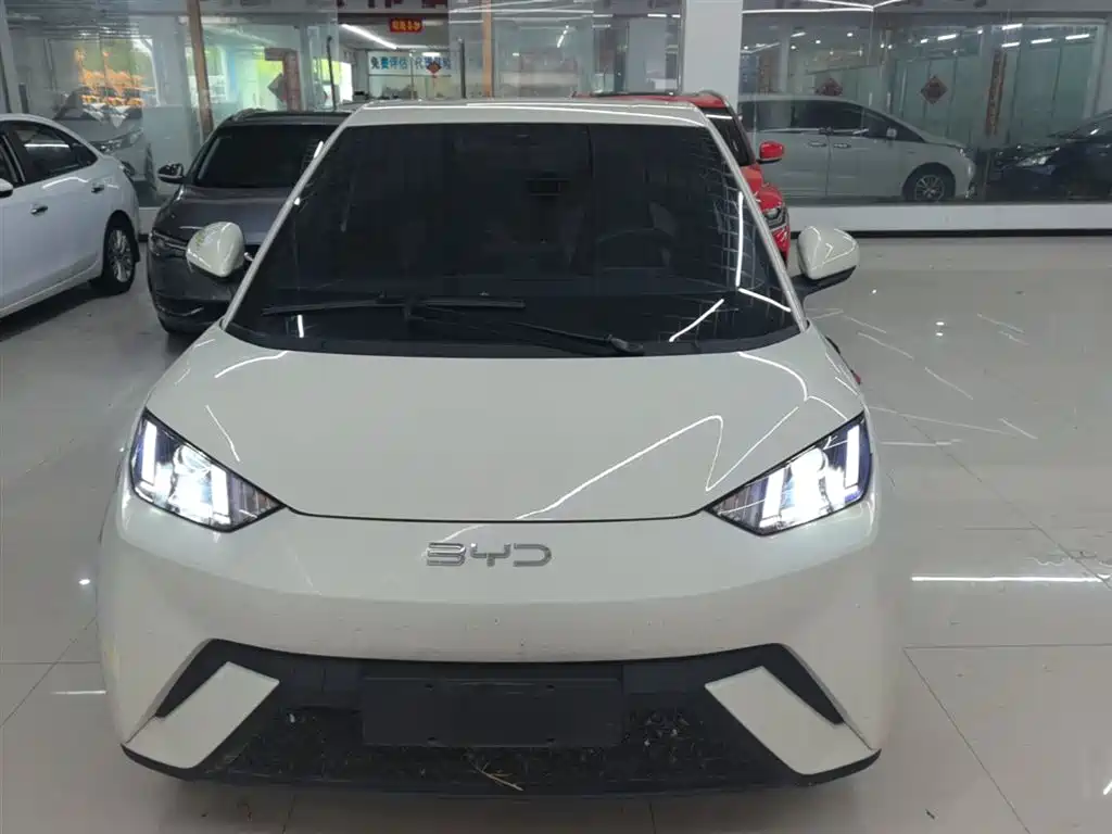 BYD Seagull 2024 Glory Edition 305km Vitality Edition фото 3