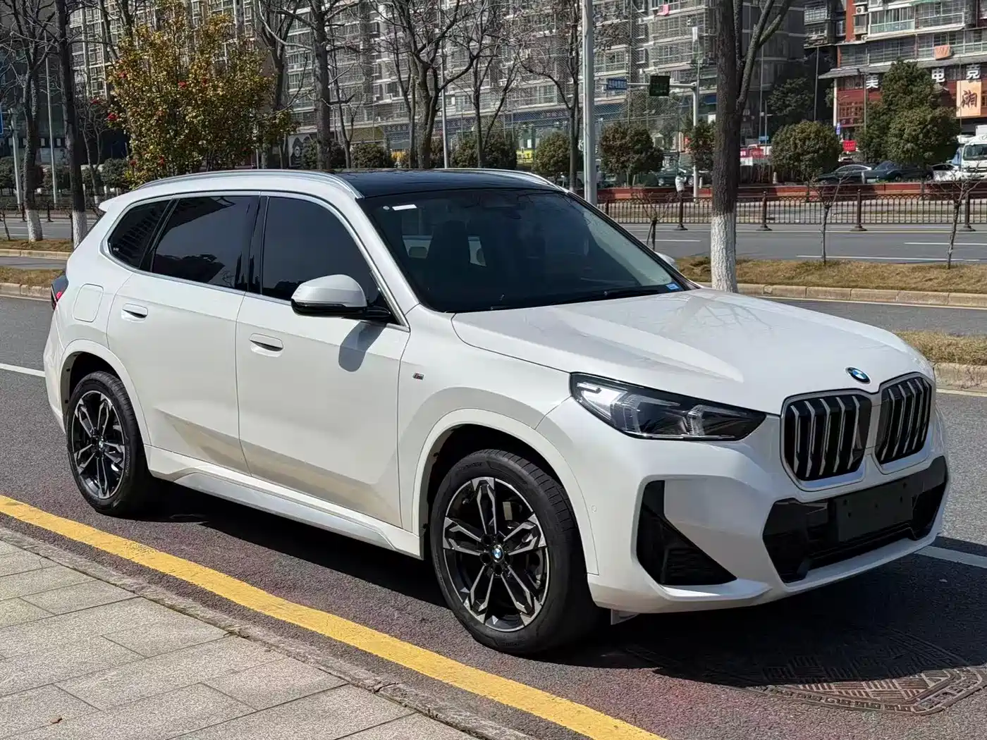 BMW X1 2023 sDrive25Li M Sport Package фото 3