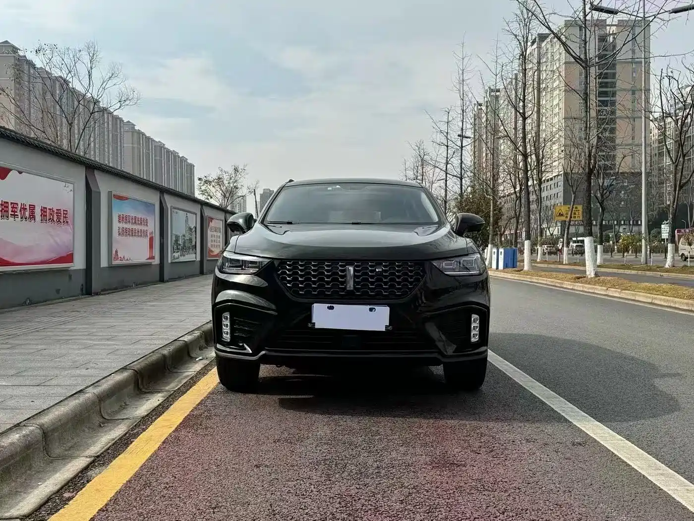 WEI PAI WEI BRAND VV5