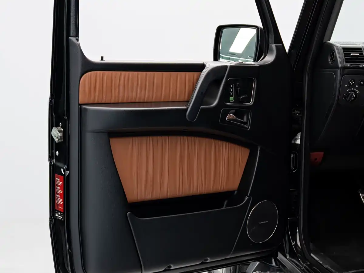 Mercedes-Benz G-Class AMG 2009 AMG G 55 фото 4