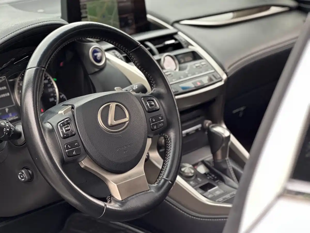 Lexus NX 2018 Model 300h AWD Fengzhi Edition China V фото 5
