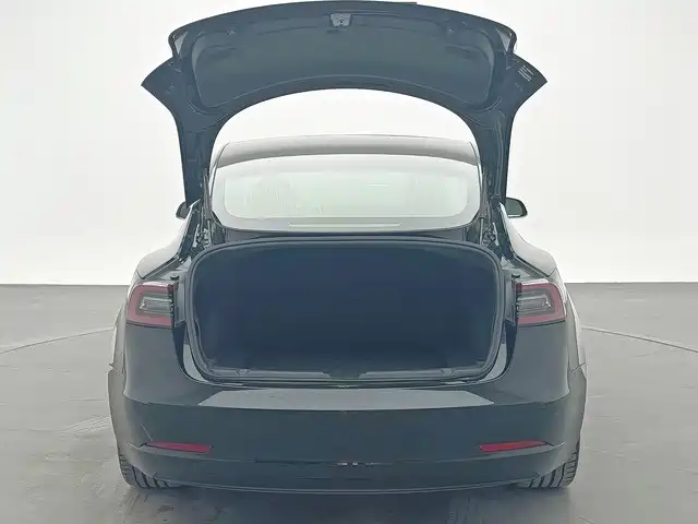 Tesla Model 3 2020 2020 Standard Range Rear-Wheel Drive Upgrade
