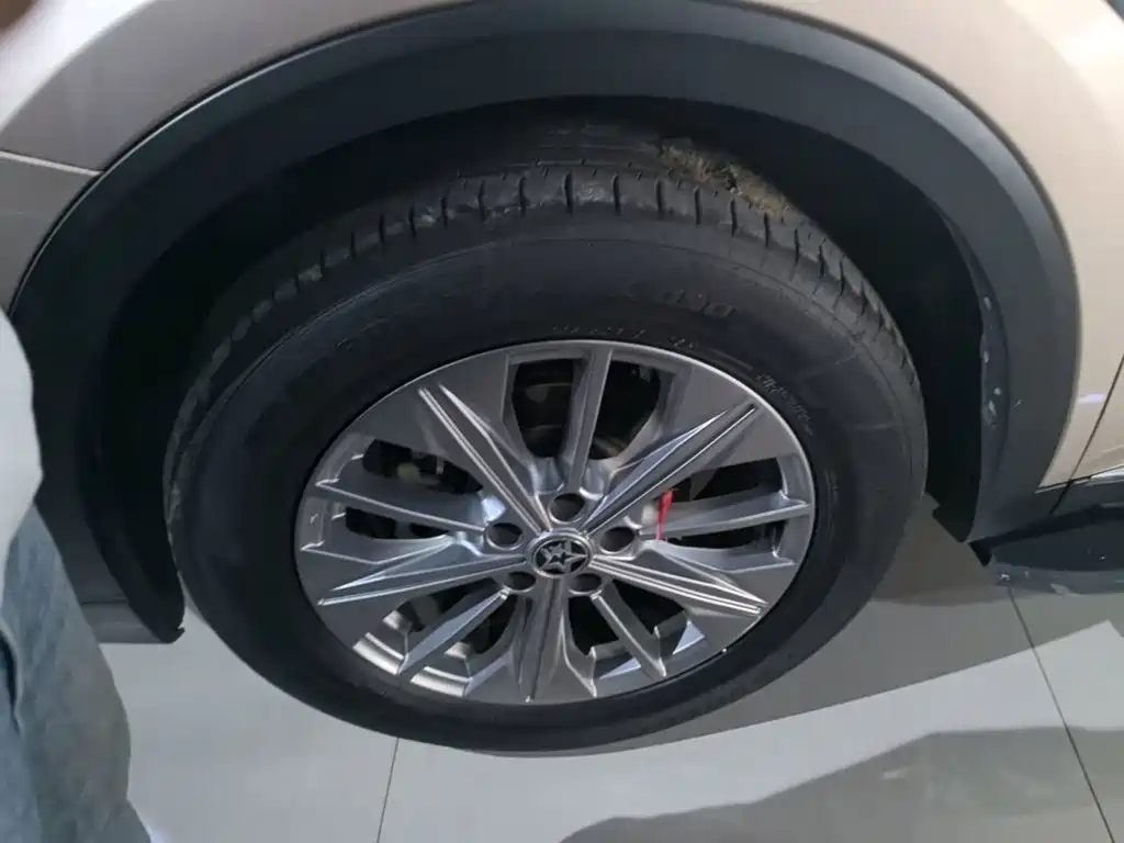 Venucia Star 2020 2020 260T Automatic 48V Mild Hybrid Turbo Star Enjoy Edition