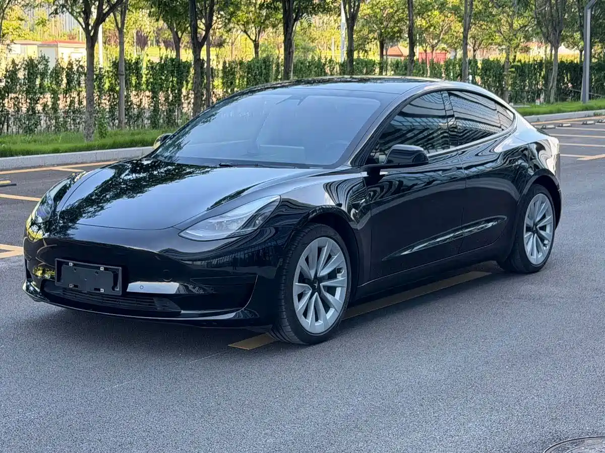Tesla Model 3 2021