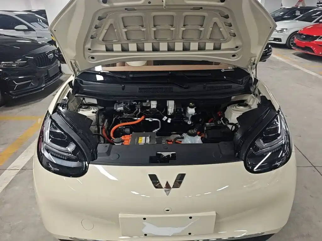 Wuling Motors Wuling Bingo 2026 2025 Model 333km Smart Premium