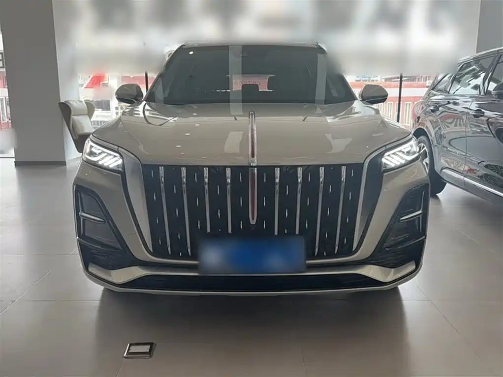 Hongqi HS5 2023 2.0T 4WD Flag Leader Pro фото 16