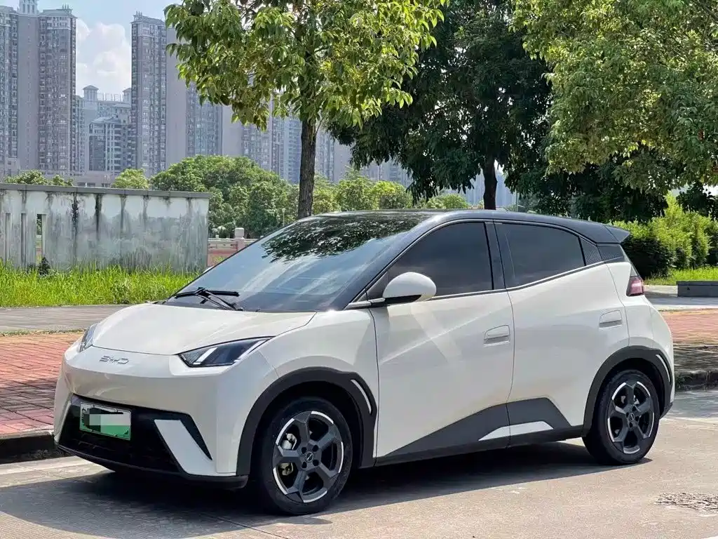 BYD Seagull