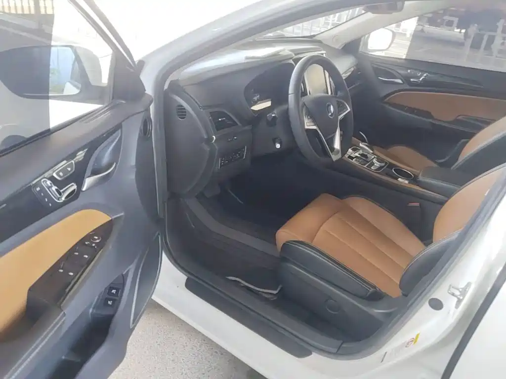 BYD Qin New Energy 2019 2018 Qin EV450 Smart Connected Premium Edition