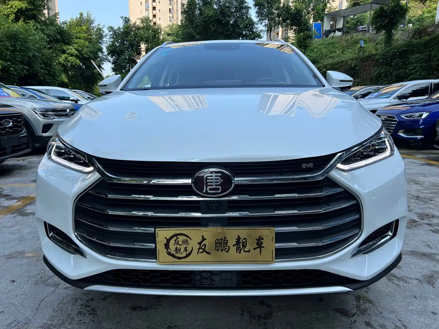 BYD Tang 2018 2.0T Automatic Smart Connection Noble Edition 7-Seater China V фото 2