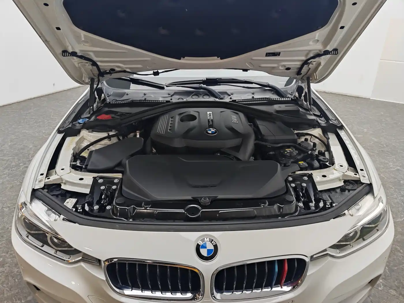 BMW 3 Series 2019 320Li M Luxury Package фото 13