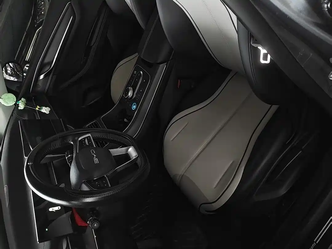 BYD Destroyer 05 2024 Glory Edition DM-i 55KM Luxury фото 5