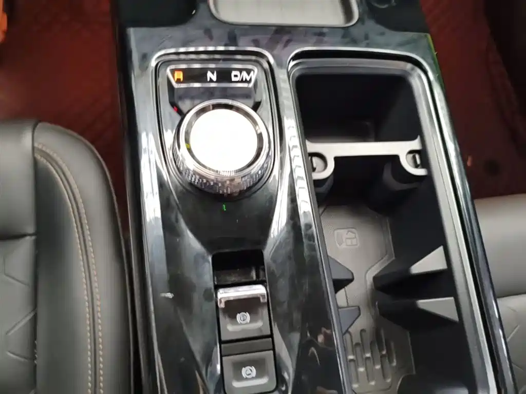 Haval Big Dog 2022 2.0T DCT AWD Chinese Pastoral Dog Edition фото 14