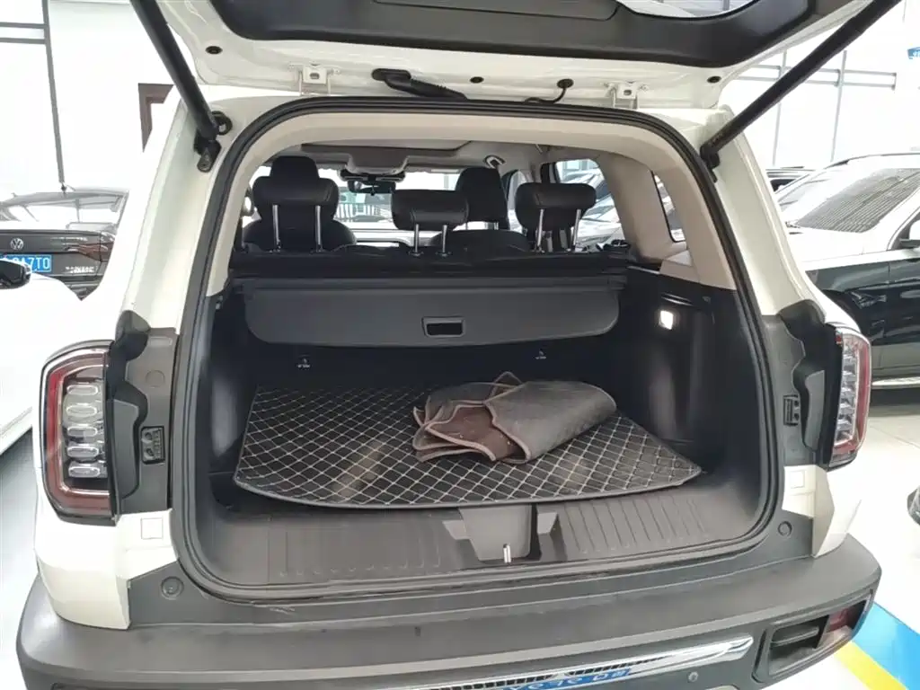 Haval Big Dog 2022 2.0T DCT AWD Chinese Pastoral Dog Edition фото 19