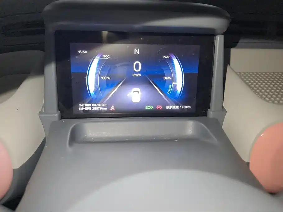 BESTUNE PENTIUM PONY