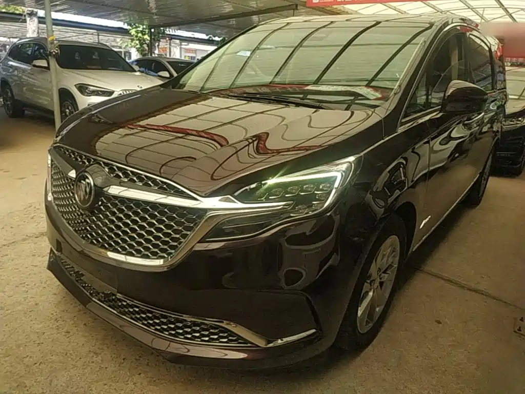 Фото 1 - Buick GL8