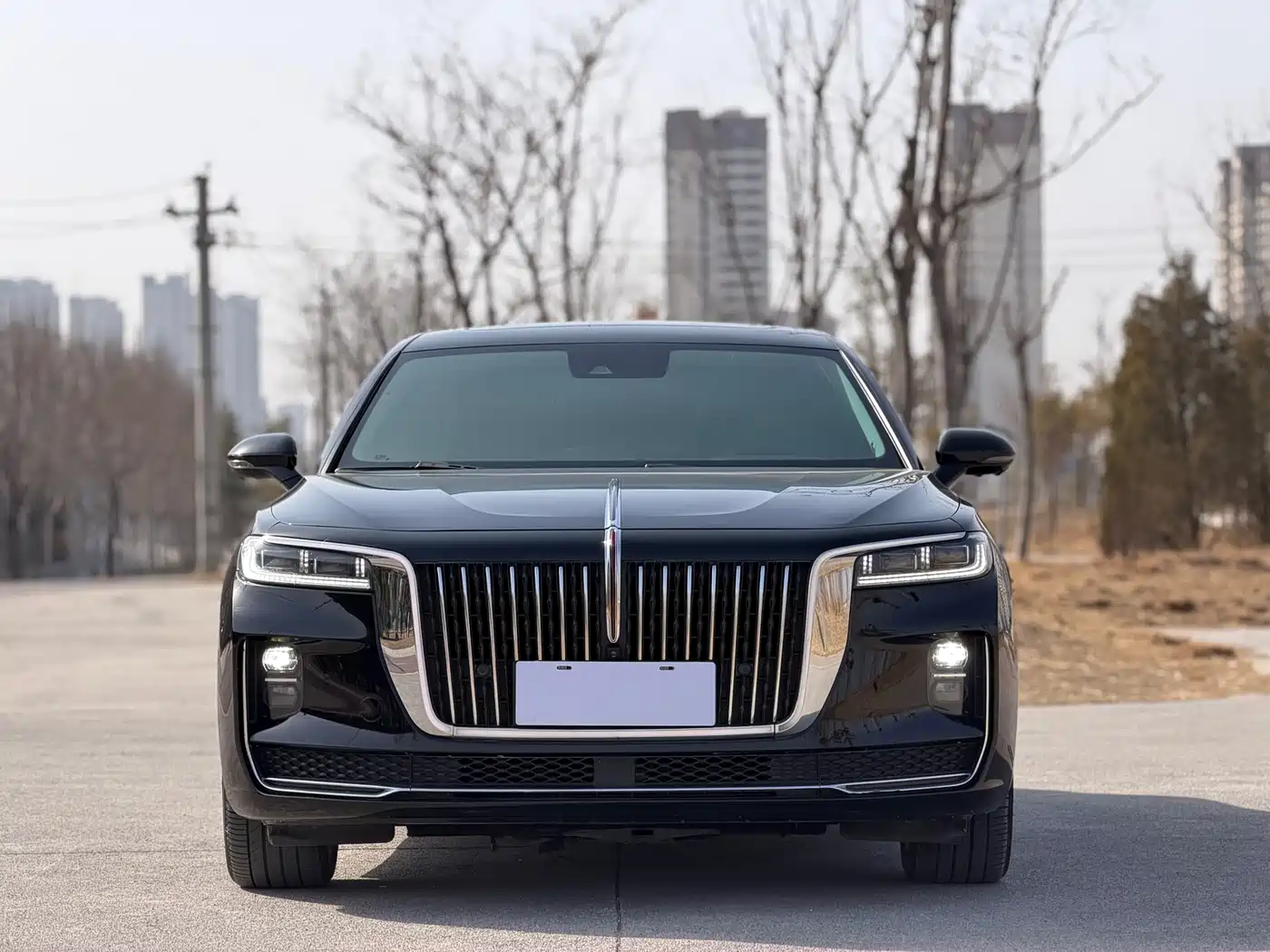 Hongqi HONGQI H9