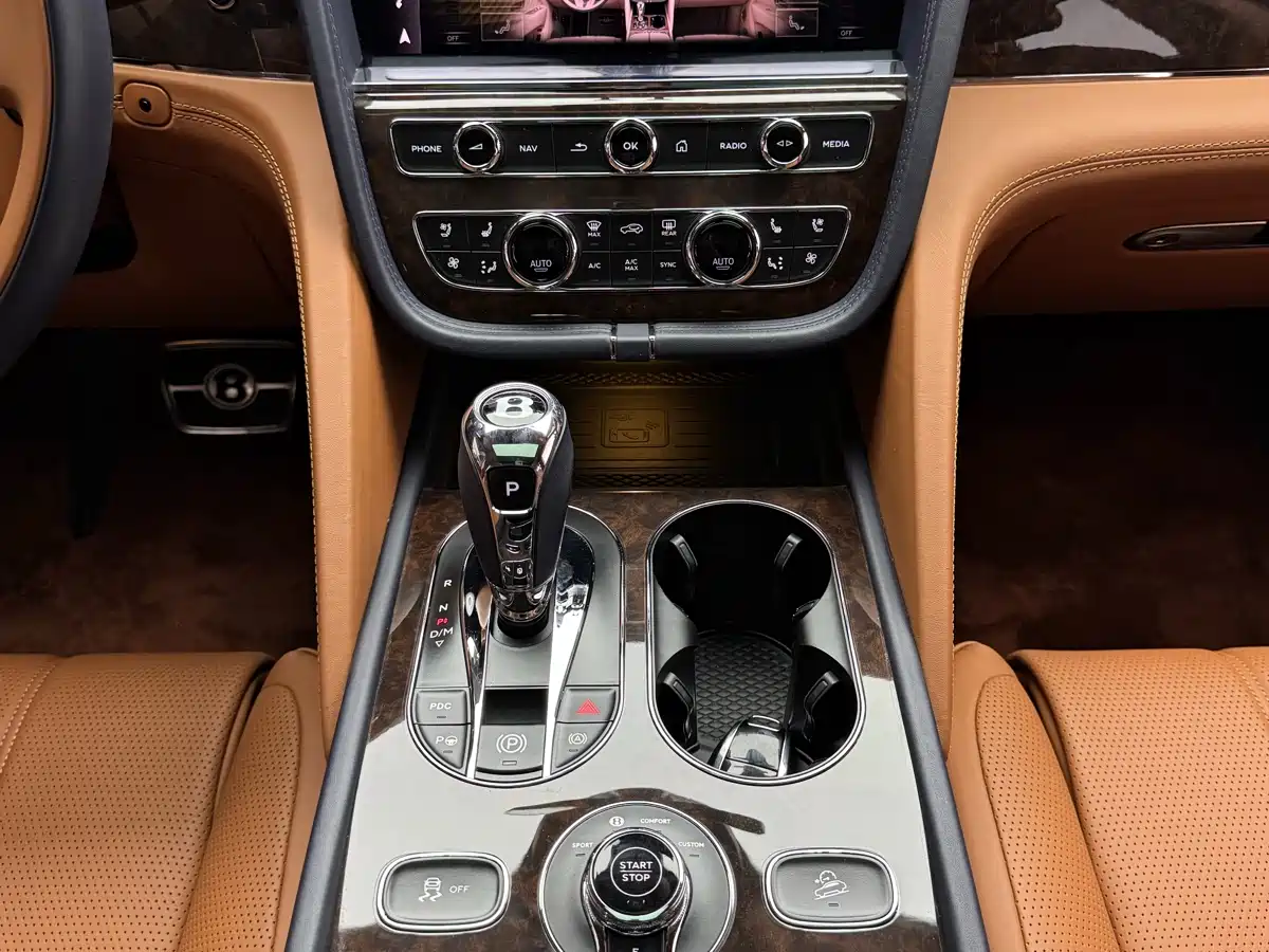 BENTLEY TIMYUE PLUG-IN HYBRID
