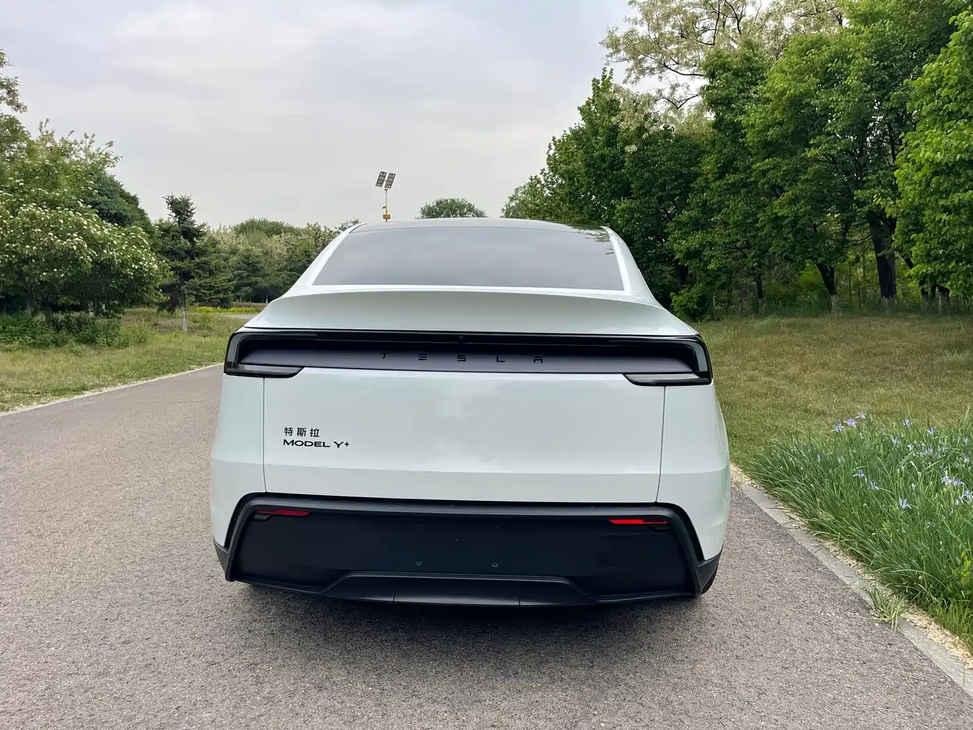 Tesla Model Y 2026 Long Range All-Wheel Drive фото 13