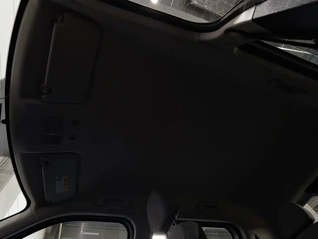 Ora White Cat 2021 2020 360km Luxury Model
