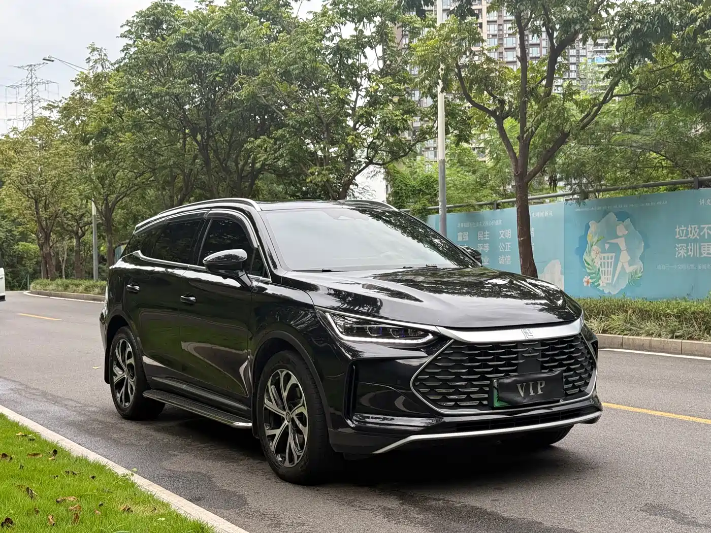 BYD Tang New Energy 2025 2025 DM-i 115KM Prestige Type