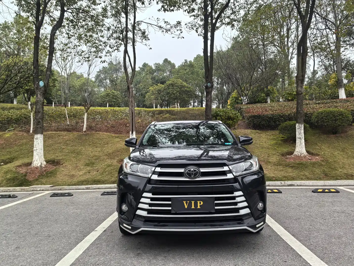 Toyota Highlander 2018 2.0T 4WD Luxury 7-seater China VI фото 2