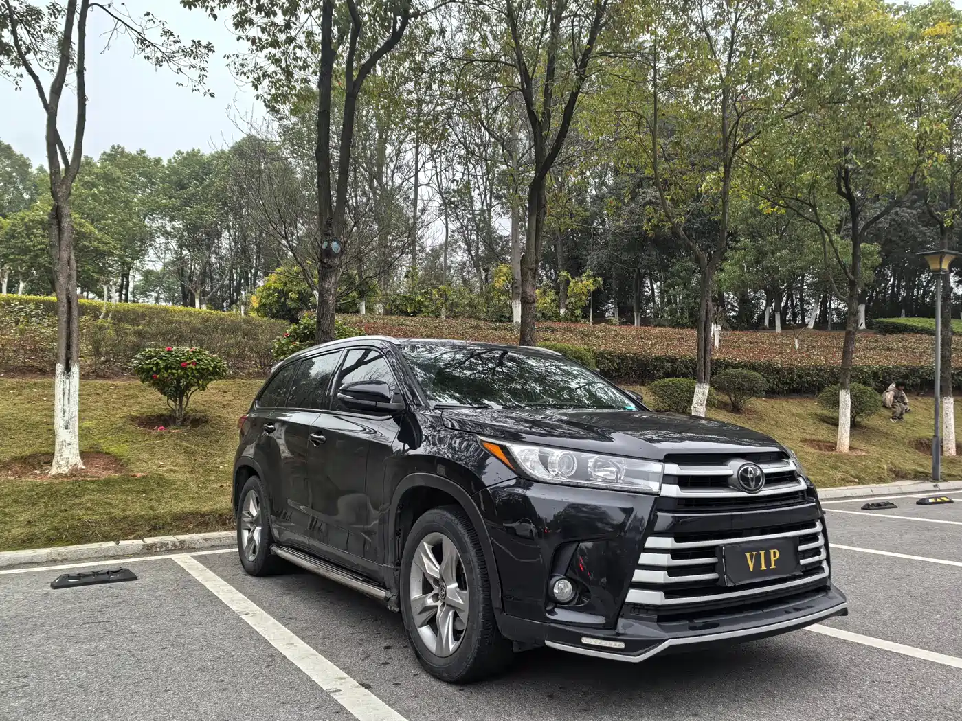 Toyota Highlander 2018 2.0T 4WD Luxury 7-seater China VI фото 3