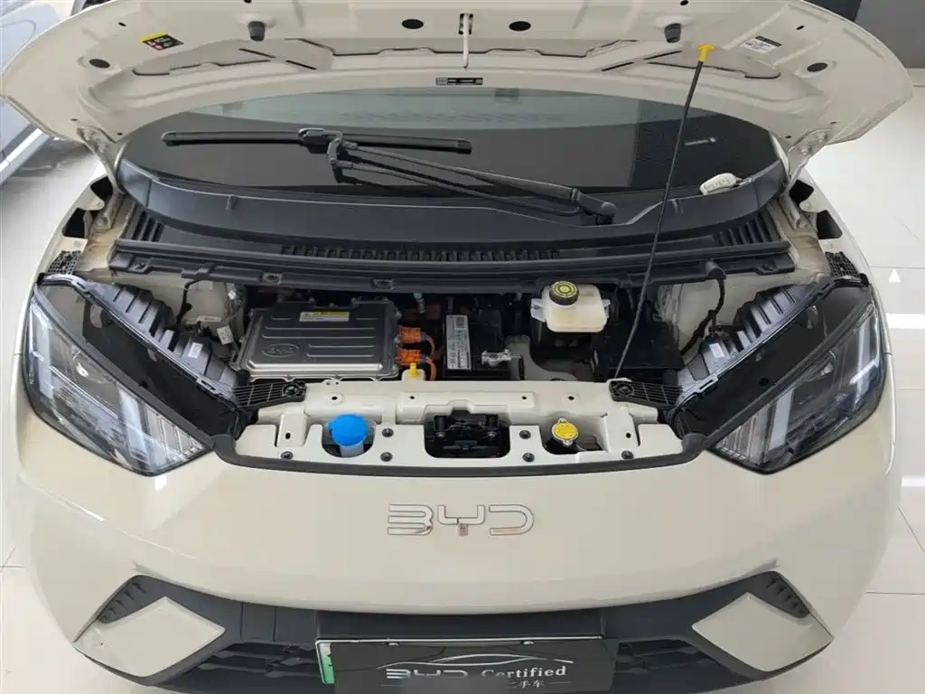 BYD Seagull 2024 Glory Edition 305km Vitality Edition фото 20
