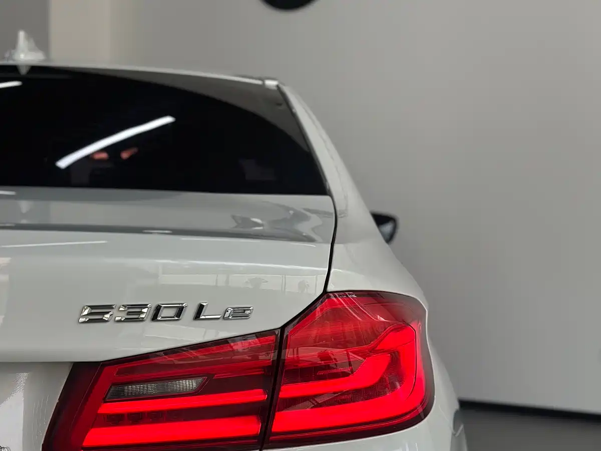 BMW 5 Series New Energy 2020 530Le Range Upgrade Luxury Package фото 19