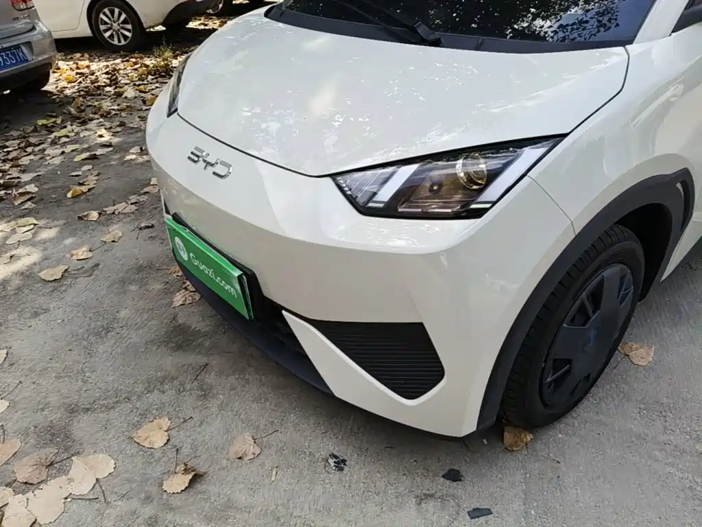 BYD Seagull 2026 2025 Smart Drive Edition 305km Vitality Version