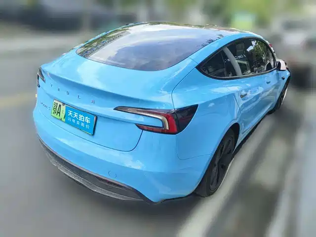 Tesla Model 3 2025 Model Rear-Wheel Drive Edition — фото 2