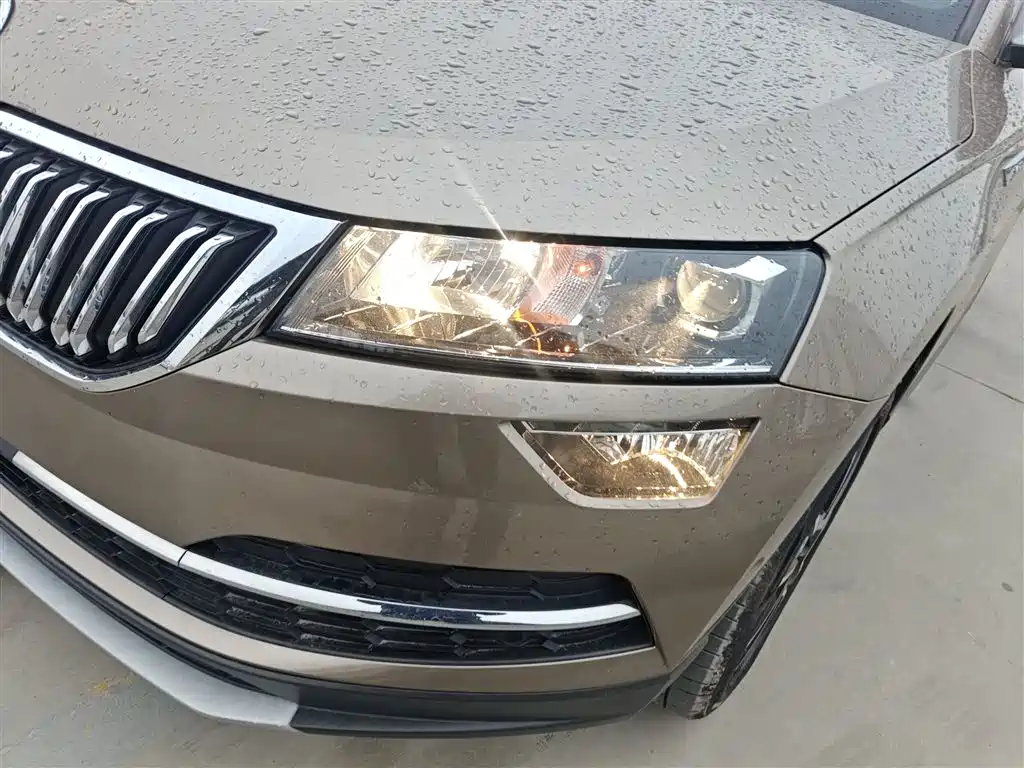 Škoda Karoq 2019 TSI280 Smart Drive Premium Edition China V фото 18