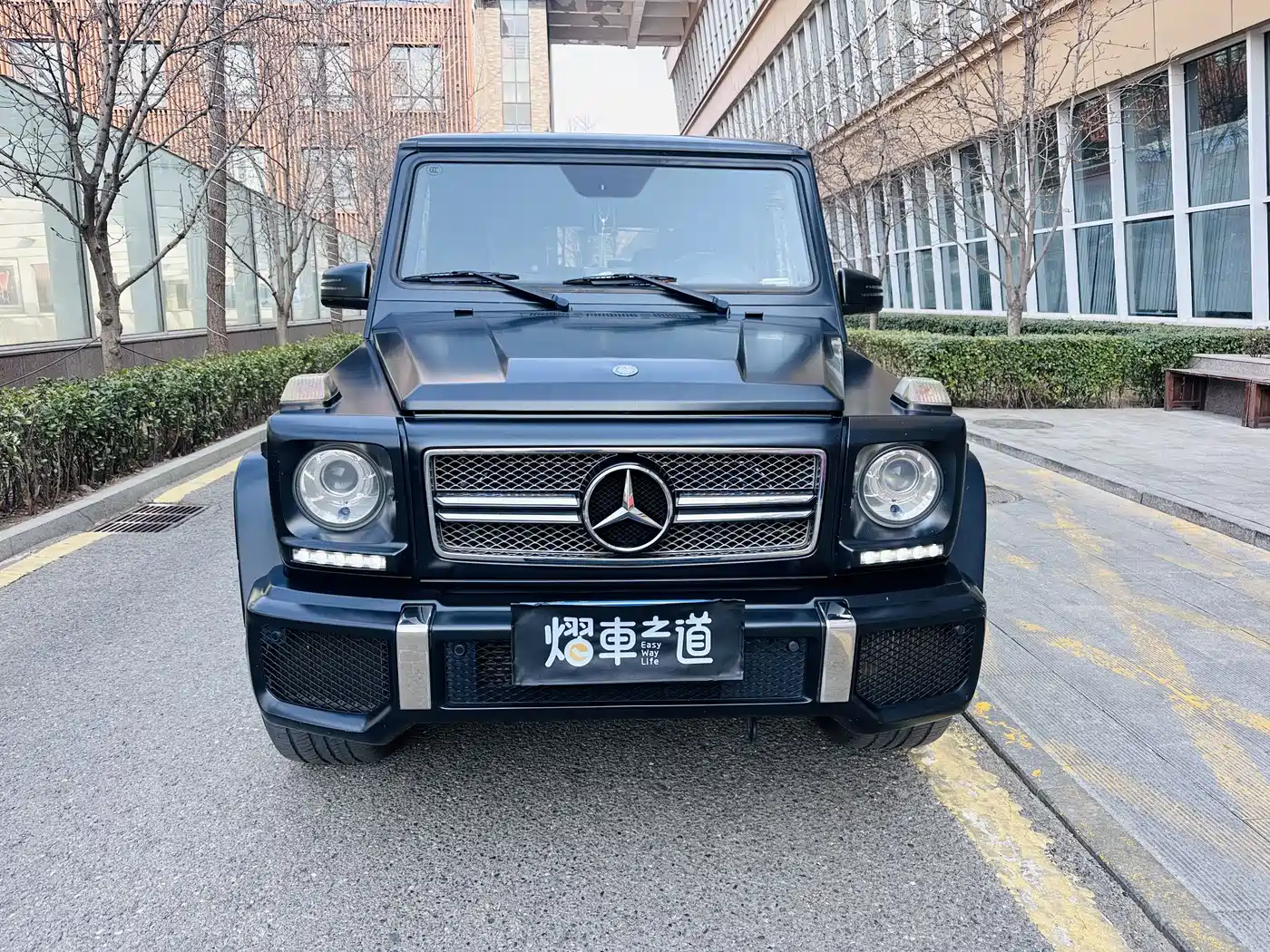 Mercedes-Benz G-Class AMG 2013 AMG G 65 фото 2