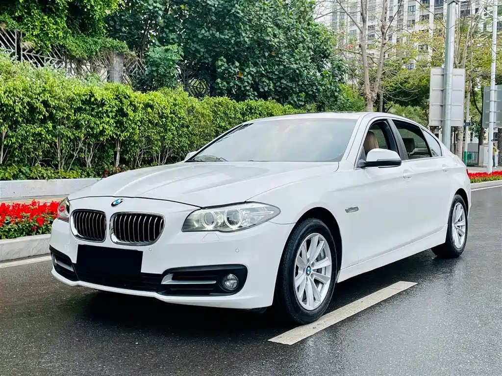BMW 5 Series 2014 520Li Elegance