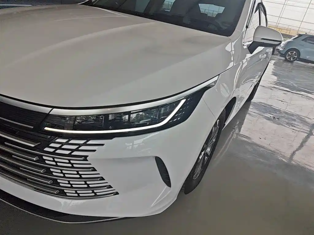 BYD Destroyer 05 2024 Glory Edition DM-i 55KM Luxury фото 24