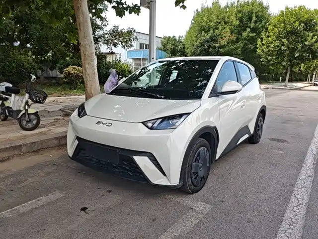 BYD Seagull 305km, Энергия