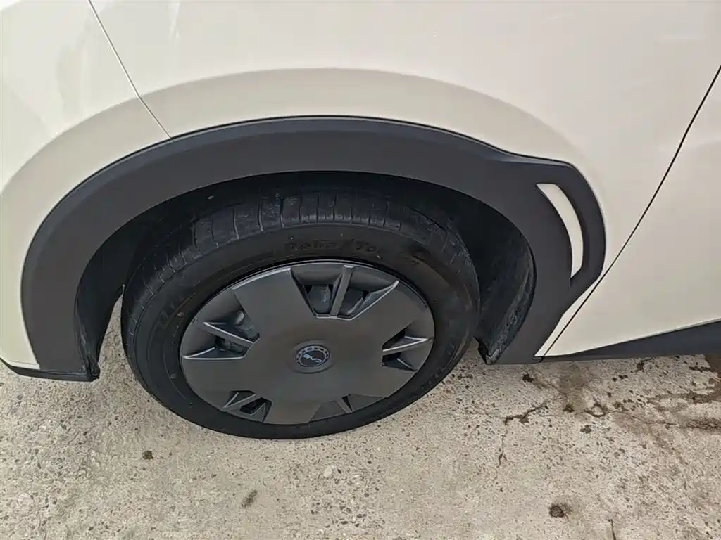 BYD Seagull 2024 Glory Edition 305km Vitality Edition фото 23
