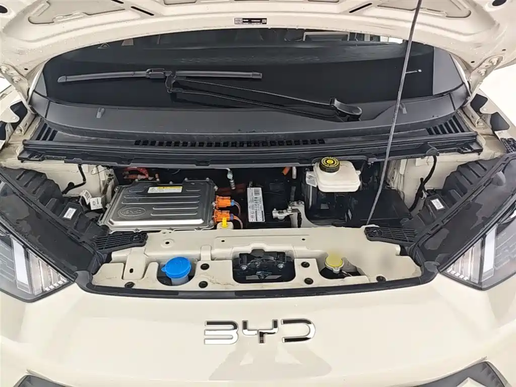 BYD Seagull 2024 Glory Edition 305km Vitality Edition фото 20
