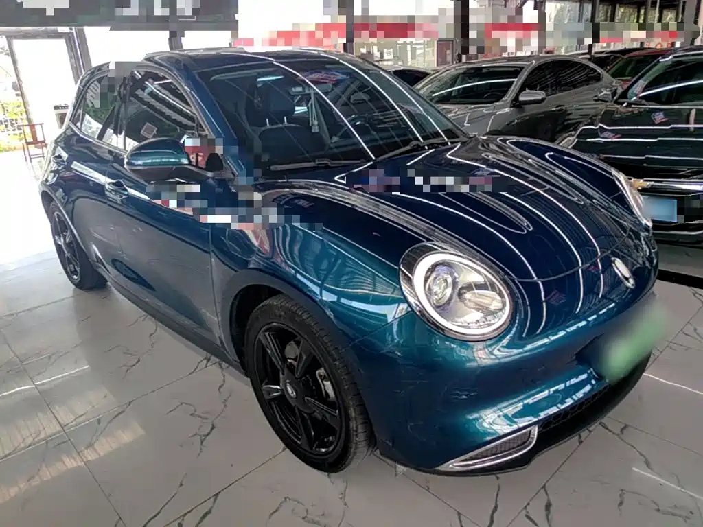 Ora Good Cat 2024 2024 401km Luxury