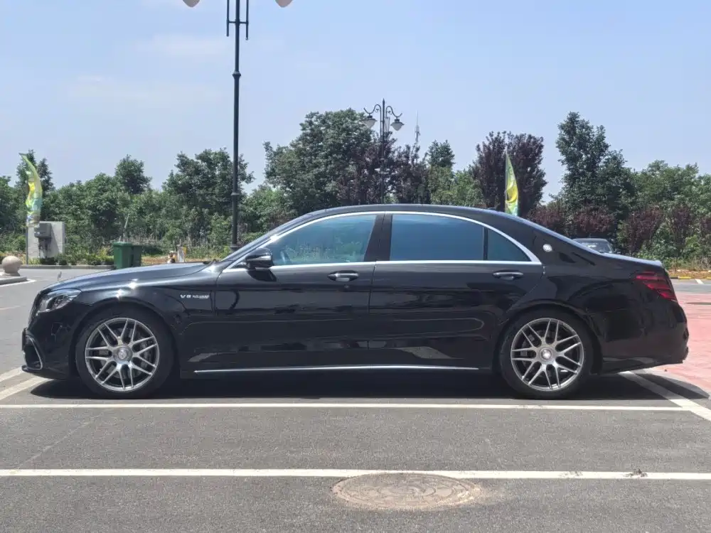 Mercedes-Benz S-Class AMG 2018 AMG S 63 L 4MATIC+ фото 13